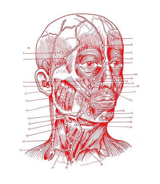 Fascia Education Formations